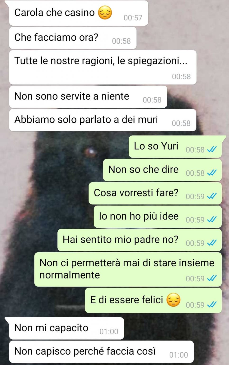 Cugini Di Secondo Grado Possono Stare Insieme