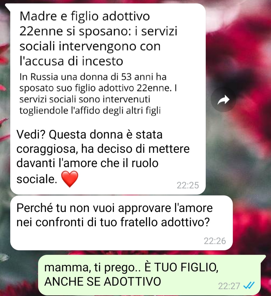 Il figlio adottivo - SpunteBluSpunteBlu