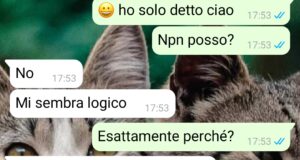 Una relazione a senso unico