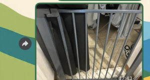 Problemi di convivenza