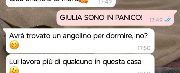 Disavventure di un gatto