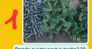 L’albero per la suocera