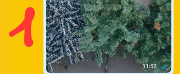 L’albero per la suocera