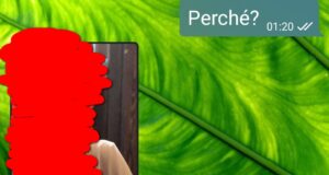 Il fidanzato onnipotente