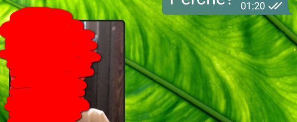 Il fidanzato onnipotente