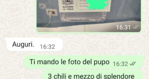 Il nuovo nipote