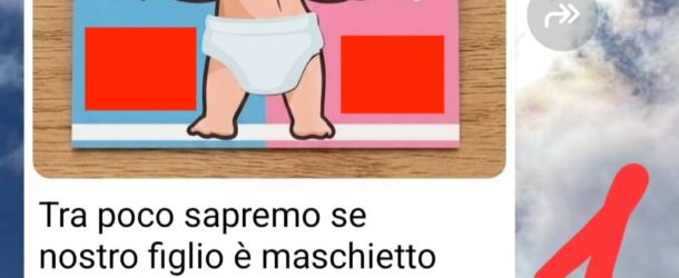 Il gender reveal
