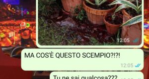 Le abitudini della fidanzata