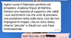 Fidanzato artificiale