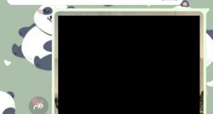 Dignità di bidella – Parte finale