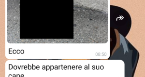 L’installazione artistica