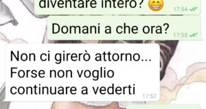 Terrapiattista frainteso