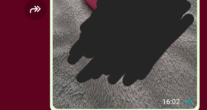 Il regalo per la coppia