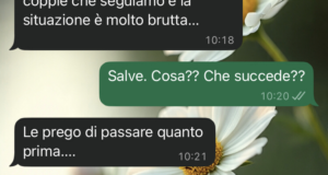 Problemi con la wedding planner