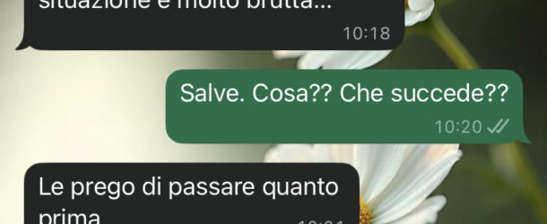 Problemi con la wedding planner