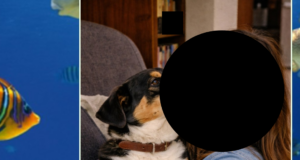 I bacini di Giuggiola