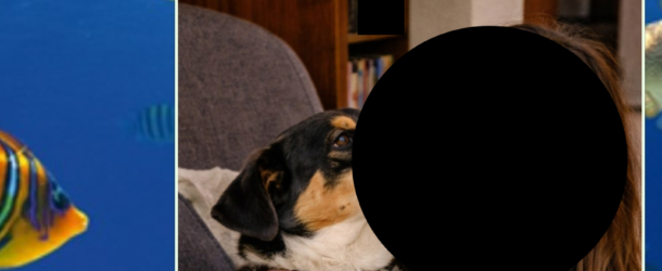 I bacini di Giuggiola