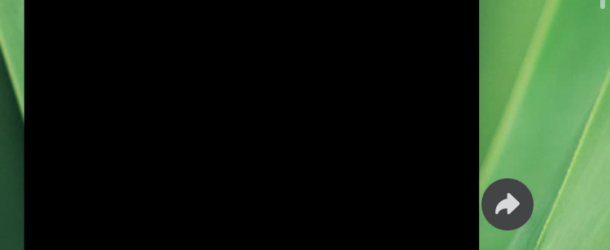 Colpa della zia