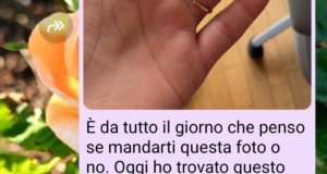 Il fermaglio