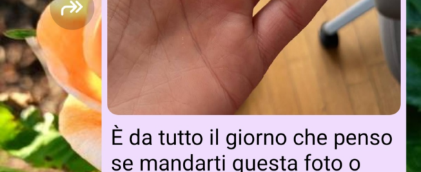 Il fermaglio