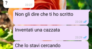 Il fermaglio – Parte finale