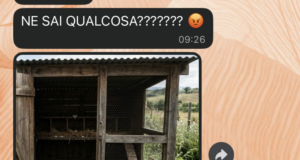 Le galline