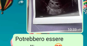 Non voglio due gemelli
