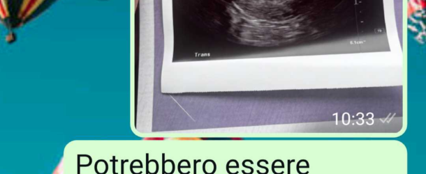 Non voglio due gemelli