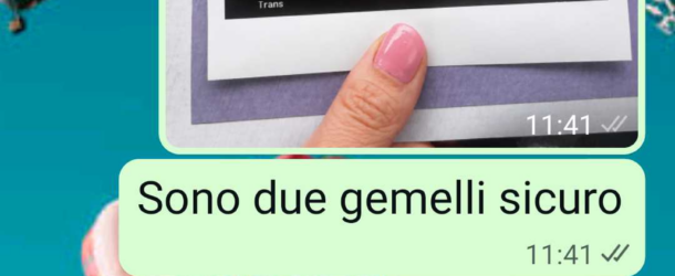 Non voglio due gemelli – Parte 2
