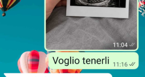Non voglio due gemelli – Parte finale