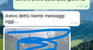 Il permesso