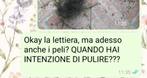 Volevo un gatto nero – Parte finale