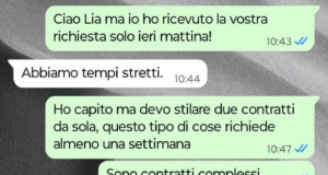 Il mio capo