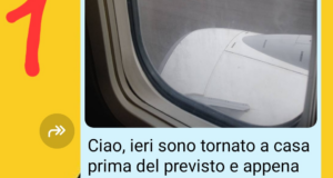 Flavio