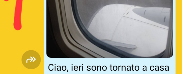 Flavio