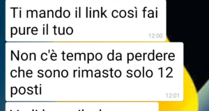 L’accompagnatore