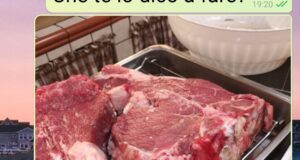 Vegani per un giorno