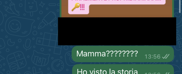 Il rogito