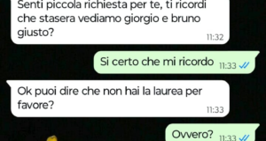 Il mio compagno