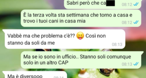 Pensione per cani