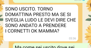 I casini di Simone