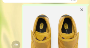 Le scarpe per il compleanno