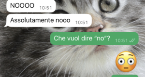Scelte scolastiche