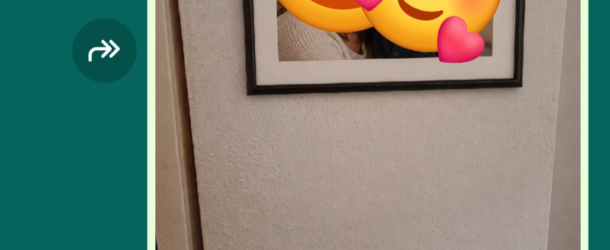 Il figlio della futura moglie