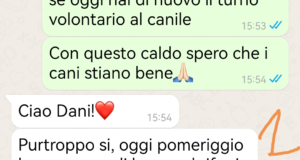 Canile