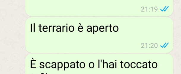 Libertà