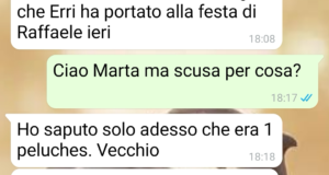 L’orsetto di peluche