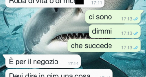 La socia