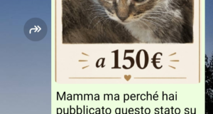 Vendesi micetto