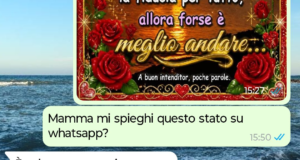 Sciopero della nonna